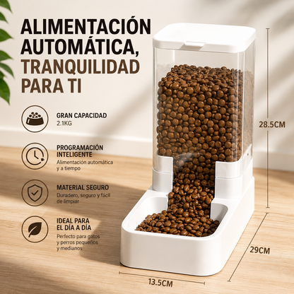 Set Fuente y Comedero Automático